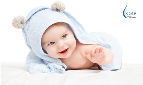 shutterstock_106804514