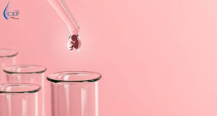 shutterstock_1338525008